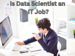 Read more about the article <strong>Is data scientist an IT job?</strong>